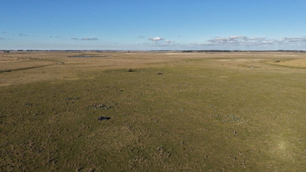 Vista aérea del campo mixto-ganadero en Chascomús, Provincia de Buenos Aires